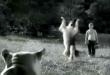Lassie, but karate style