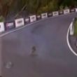 Extreme videos: A kangaroo on a race track