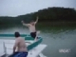 Nice dive