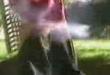 Burn cooky burn