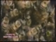 Hornets v bees