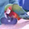 Awesome skateboarding parrot