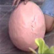 Silly putty physics experiment