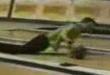 Terrible bowler