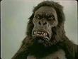 Funny videos : King Kong is no match for a Ford