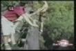 Funny videos : Bungee jump moron