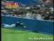 Funny videos : Wall