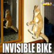 Funny videos : Invisible bike