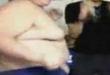 Funny videos : Fat guy thing