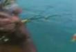 Funny videos : Waits goes fishing