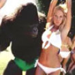 Funny videos : Rolling rock beer ape