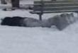 Funny videos : Snowboard wipeout
