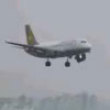 Funny videos : Bumpy landing