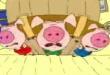 Funny videos : 3 pigs new adventure