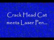 Funny videos : Laser pen plus cat