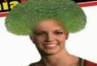 Funny videos : Chia britney