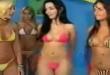 Bikini cat fight