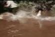 Funny videos : Live and let die: crocodile stunt