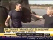 Funny videos : Jeff corwin thrashed by elephant