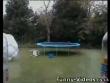 Funny videos : Fox on trampoline
