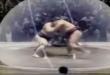 Funny videos : Sumo wrestling