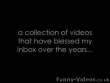 Funny videos : Dumb videos collection