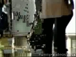 Funny videos: Laptop switch