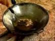 Funny videos : Rat food
