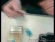 Funny videos: Sex education class