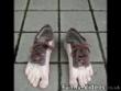 Funny videos: Funny pictures video