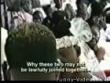 Funny videos: Wedding goes wrong