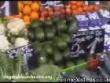 Funny videos: Vegetable orchestra