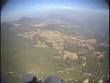 Parachuter flies into trees