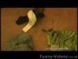 Funny videos : 8 min record