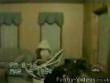 Funny videos: Funny home videos