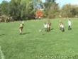 Funny videos : Ball to face