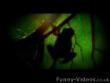 Funny videos: Python in sewer