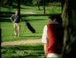 Golfer Commercial