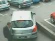 Funny videos : Another stupid driver