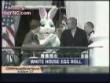 Funny videos: Funny easter bunny video