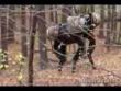 Funny videos : Mechanical dog