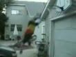 Funny videos: Slam dunk goes very wrong