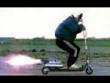 Funny videos : Darwin award dimwits