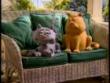 Funny videos : American creature comforts