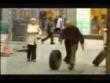Funny videos: Funny police tyre prank