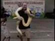 Funny videos : Snake in his pants