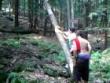 Funny videos: Watch out for the tree