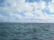 Funny videos: Kite surfer vs boat