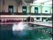Funny videos: Indiana diving bloopers