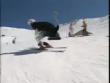 Skiing ostrich